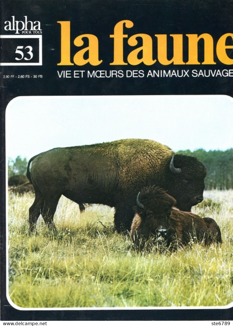 LA FAUNE Vie Et Moeurs ANIMAUX SAUVAGES N° 53 Le Bison , Ancètres , Chasse , Troupeau , Naissances - Animaux