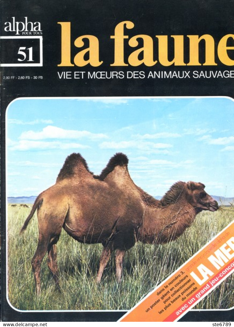 LA FAUNE Vie Et Moeurs ANIMAUX SAUVAGES N° 51 Désert Chameaux Et Antilopes , Gazelle Sahara , - Animales