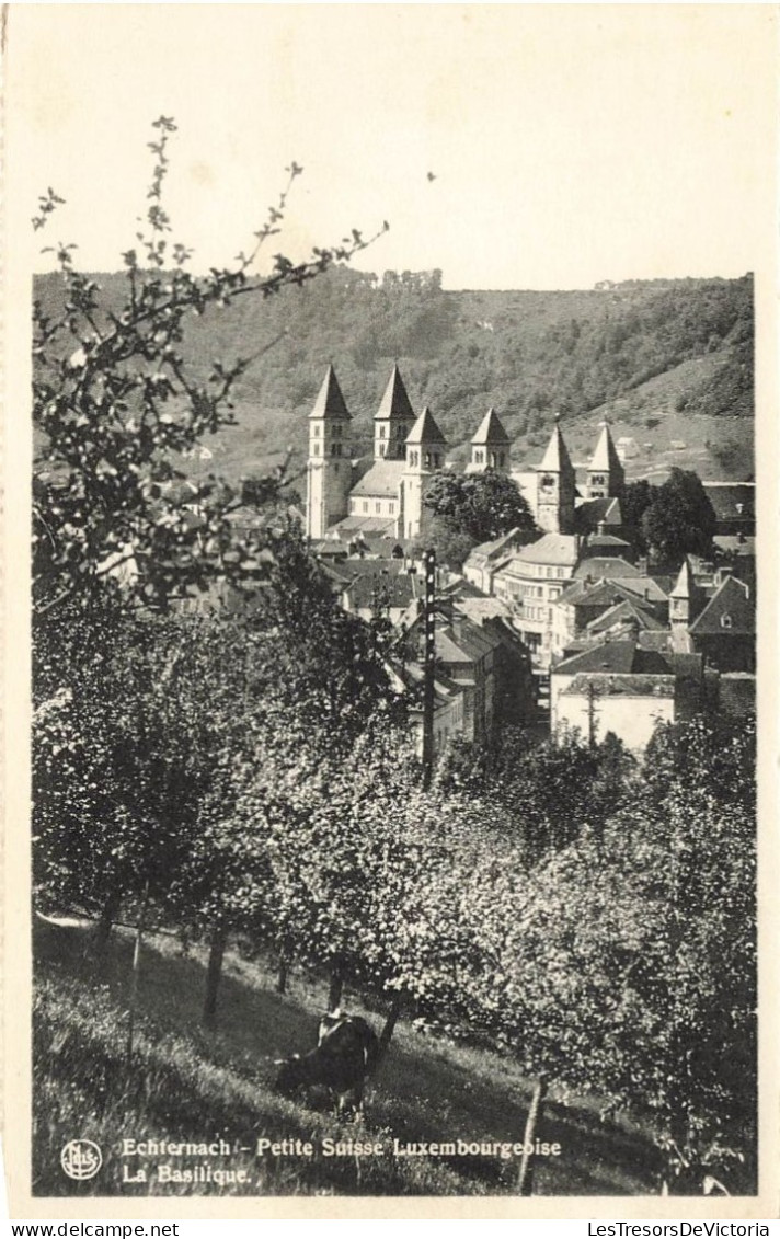 LUXEMBOURG - Echternach - Petite Suisse Luxembourgeoise - La Basilique - Carte Postale Ancienne - Echternach