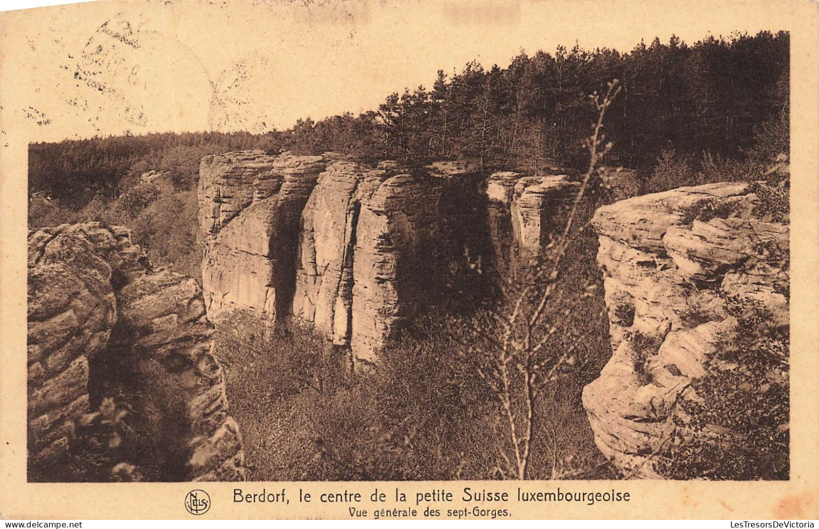 LUXEMBOURG - Berdof - Le Centre De La Petite Suisse Luxembourgeoise - Vue Générale Sept Gorges - Carte Postale Ancienne - Berdorf