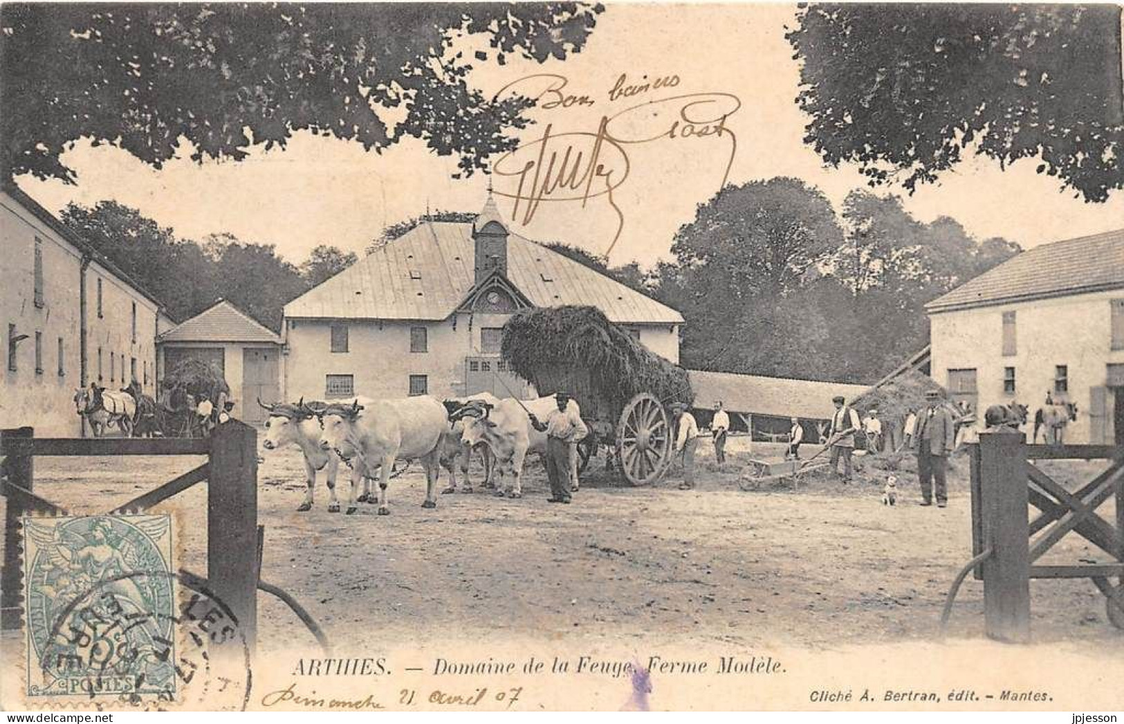 VAL D'OISE  95  ARTHIES - DOMAINE DE LA FERME MODELE - ATTELAGE DE BOEUFS - Arthies