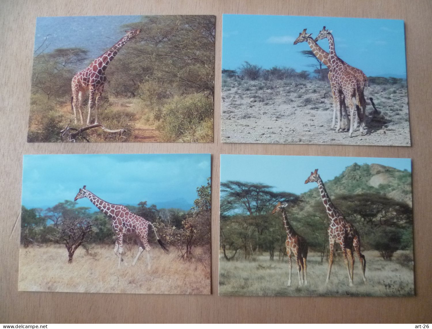 LOT 4 CARTES WWF  GIRAFE - Giraffen