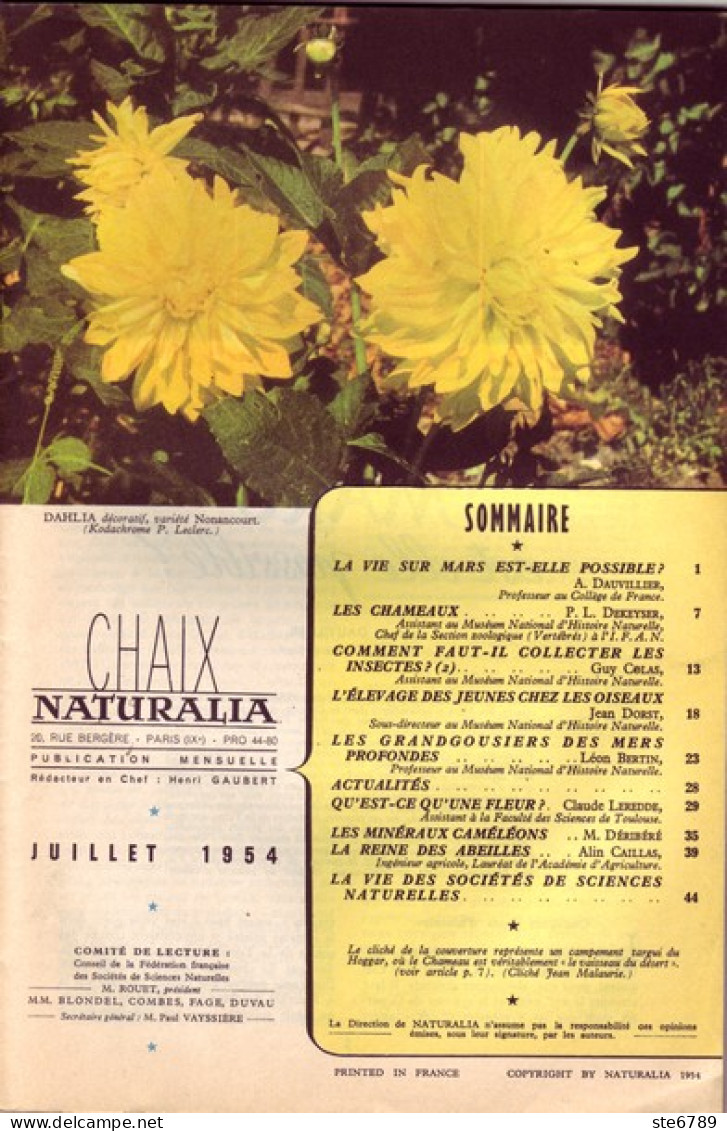 NATURALIA N° 10  1954  Animaux Nature Chameaux , Reine Des Abeilles , Grandgousiers Des Mers , Minéraux Caméléons - Animaux