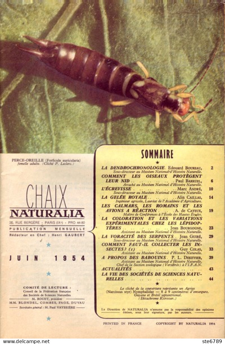 NATURALIA N° 9 1954  Animaux Nature Ecrevisse , Calmars , Voracité Des Serpents , Babouins , Lépidoptères , Gelée Royale - Animaux