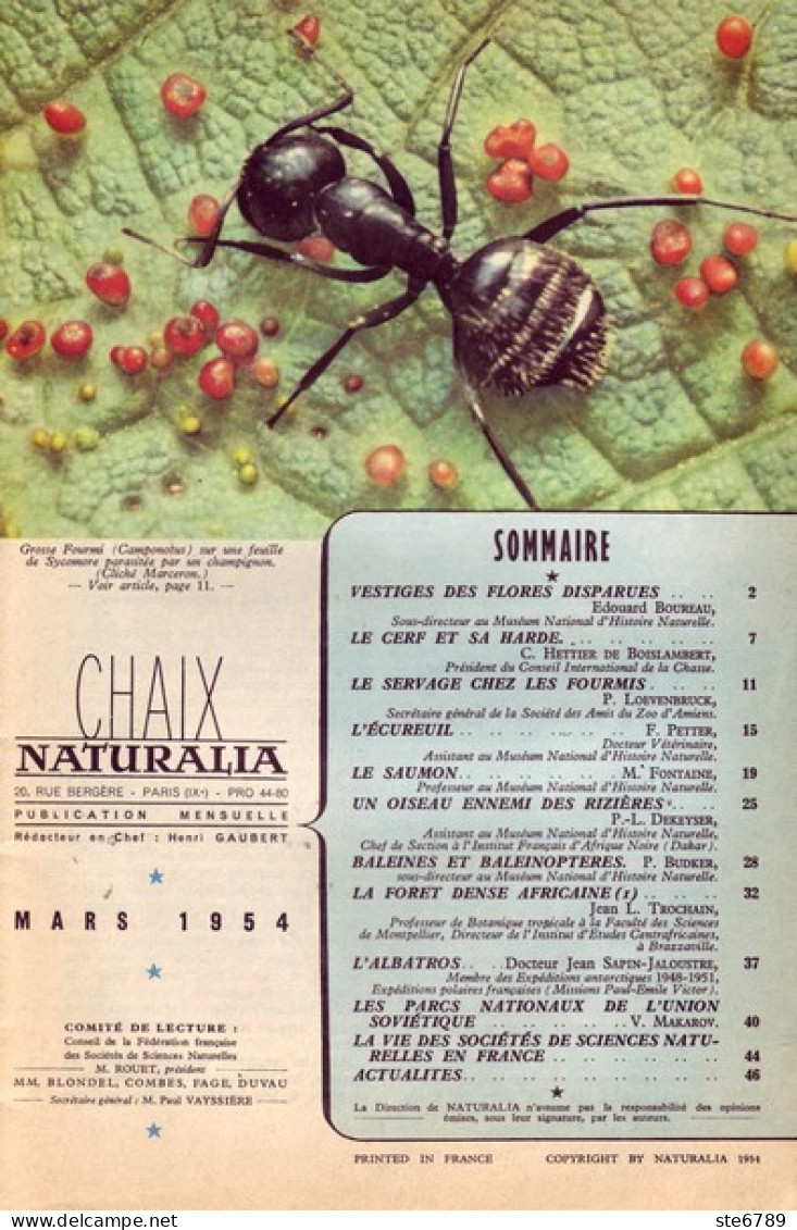 NATURALIA N° 6 1954  Animaux Nature Cerf Et Harde , Ecureuil , Baleines , Albatros , Saumon , Fourmis - Animales
