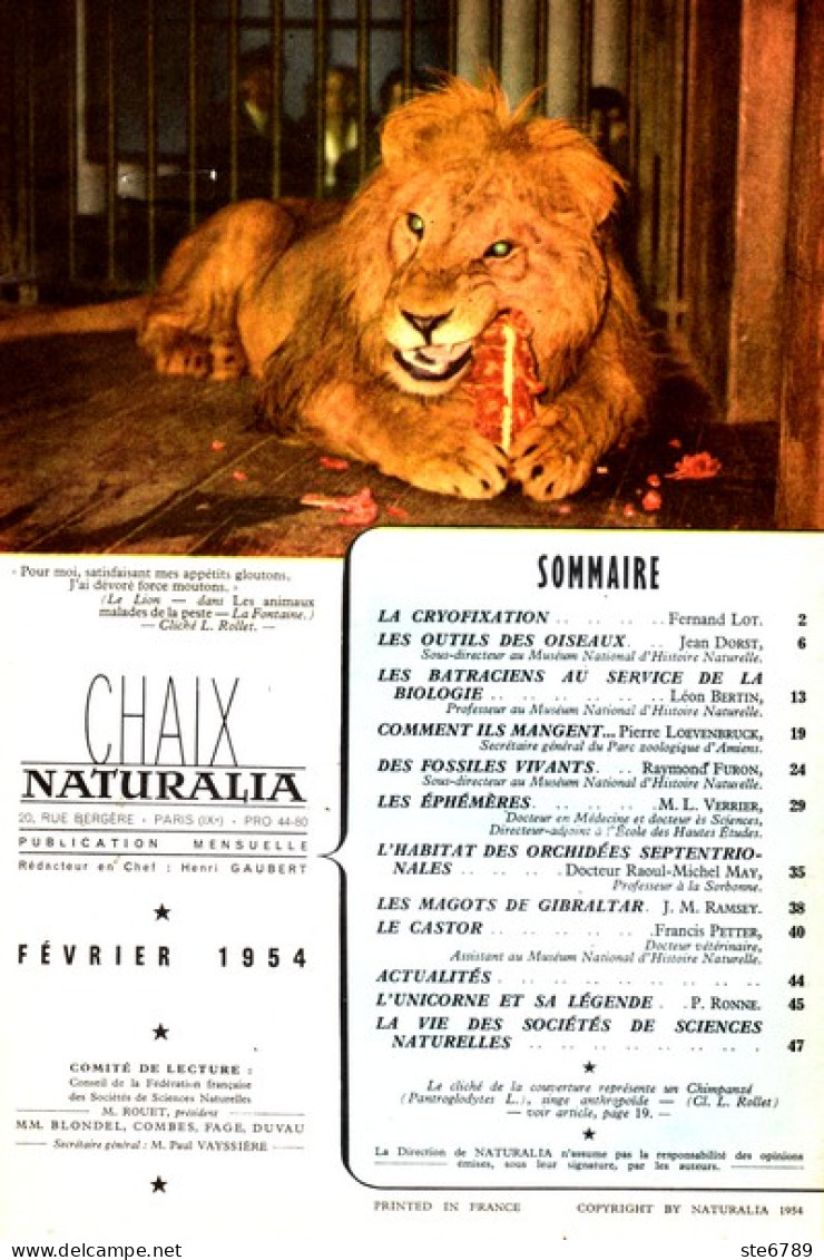 NATURALIA N° 5 1954  Animaux Nature Castor , Magots De Gibraltar , Orchidées , éphémères , Fossiles Vivants - Animaux