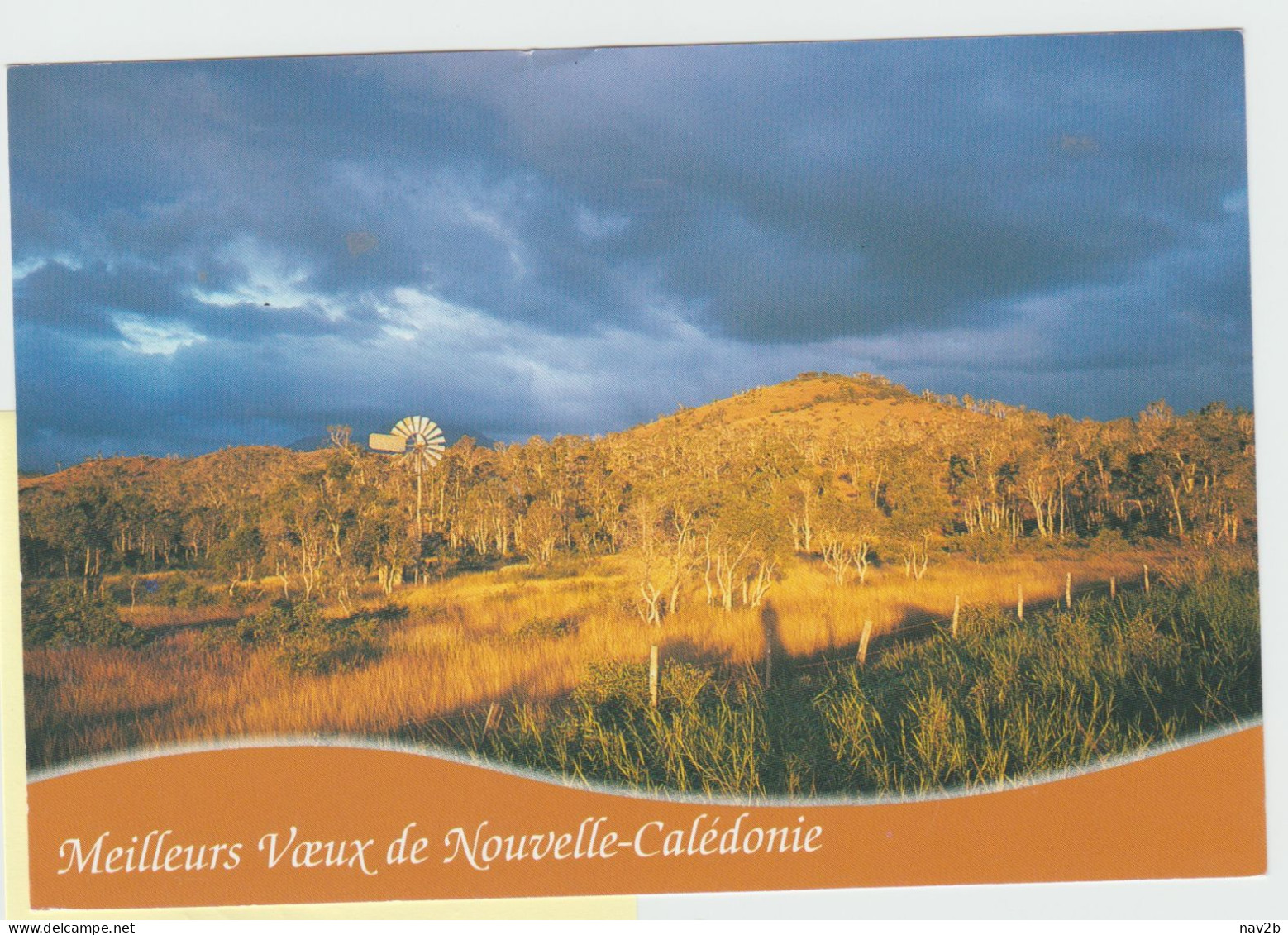 Entier Carte Postale  " Meilleurs Voeux " 2004 Oblitérée Pour La Corse - Brieven En Documenten