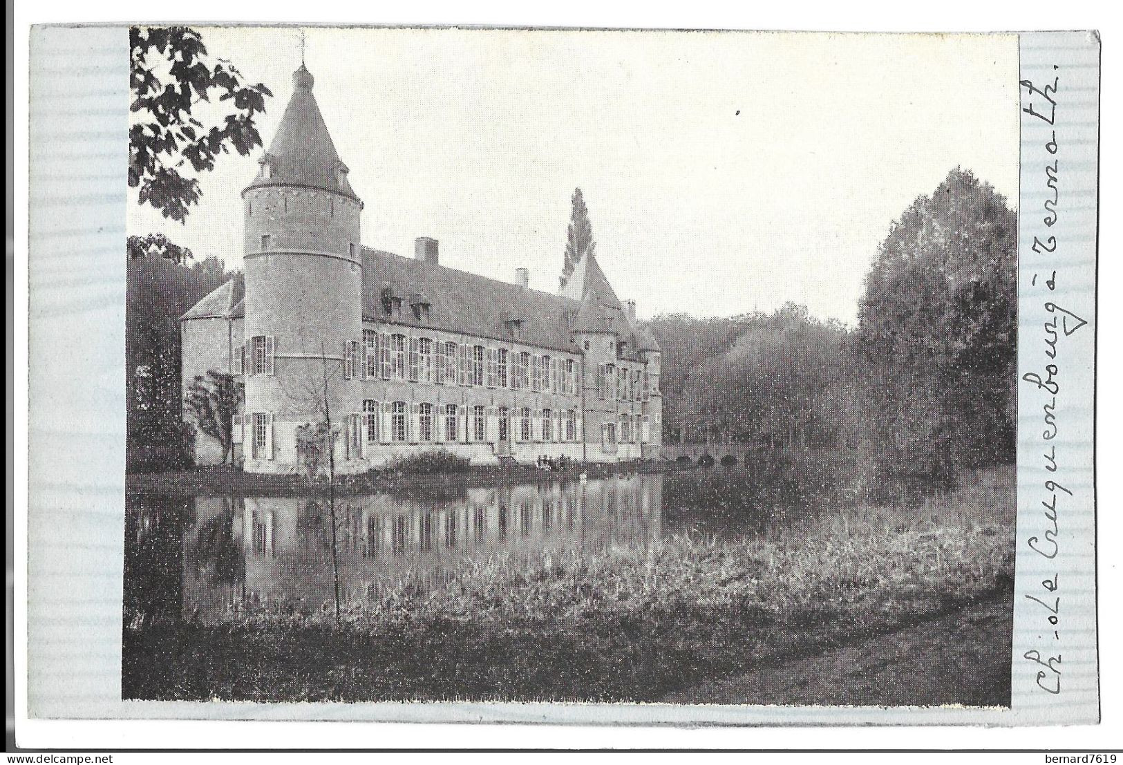 Belgique  - Ternath  -   Ternat  Chateau  De Cruquenbourg - Ternat