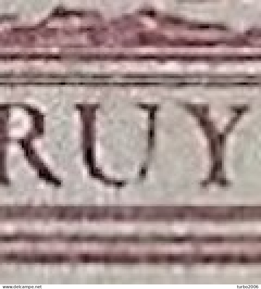 Plaatfout Wit Vlekje Naast 1 En Gebroken U In 1907 De Ruyterzegel 1 Ct Roodviolet NVPH 88 PM 5 Leidraad 22-37 Ongestempe - Variedades Y Curiosidades