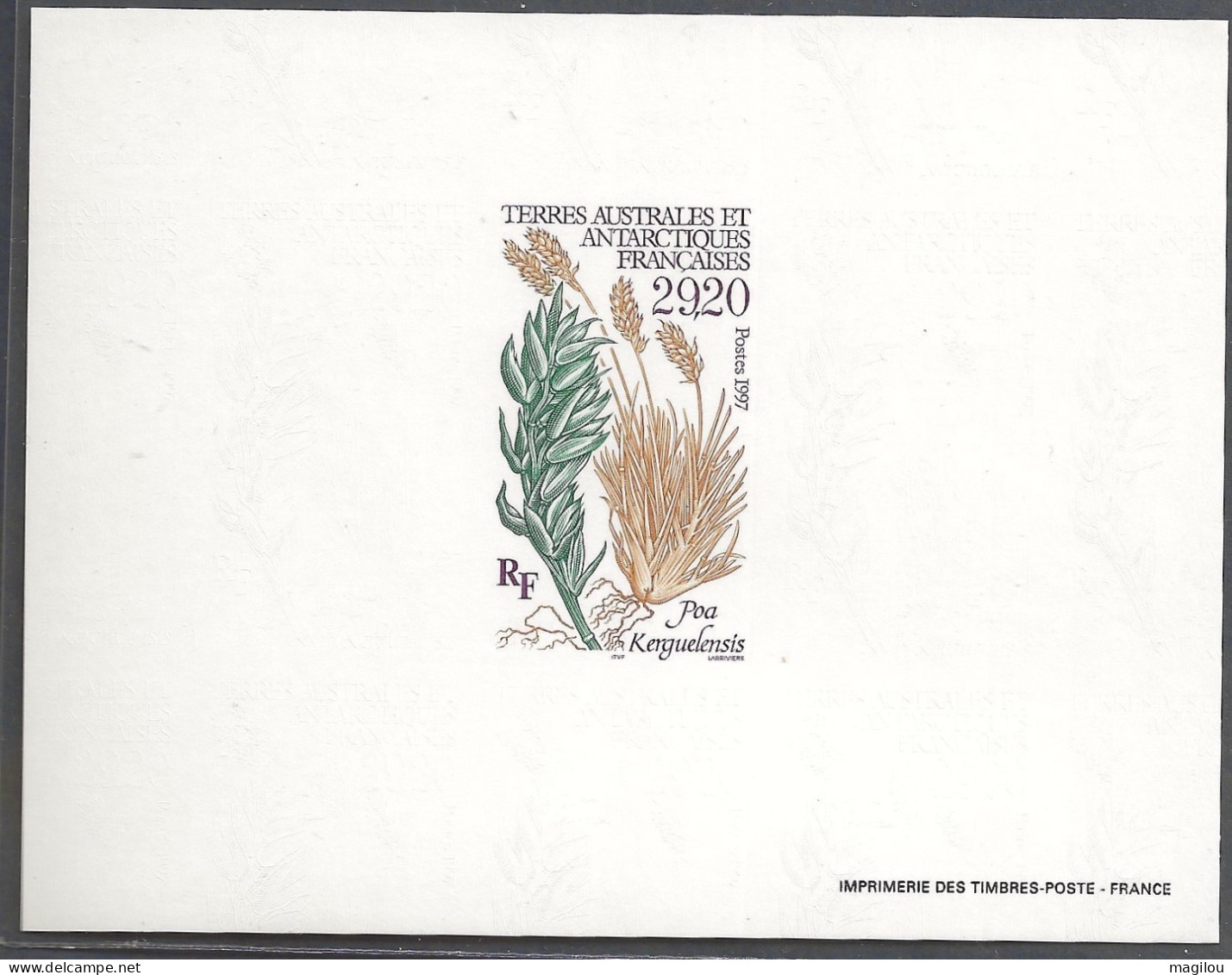 Feuillet Gommé Taaf/fsat Flore YVT 220 Mnh** - Imperforates, Proofs & Errors