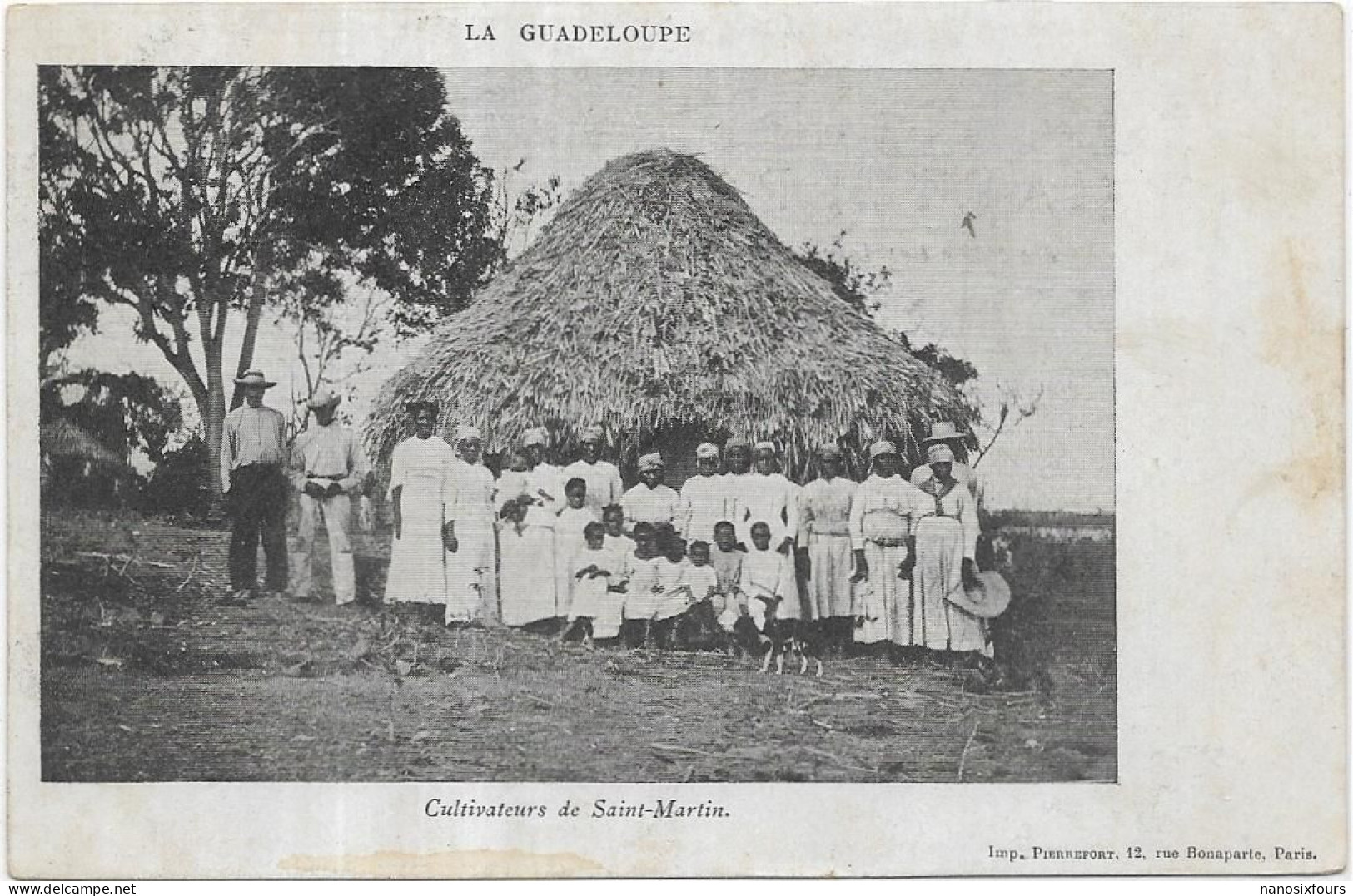 GUADELOUPE. SAINT MARTIN CULTIVATEURS DOS 1900 - Saint Martin