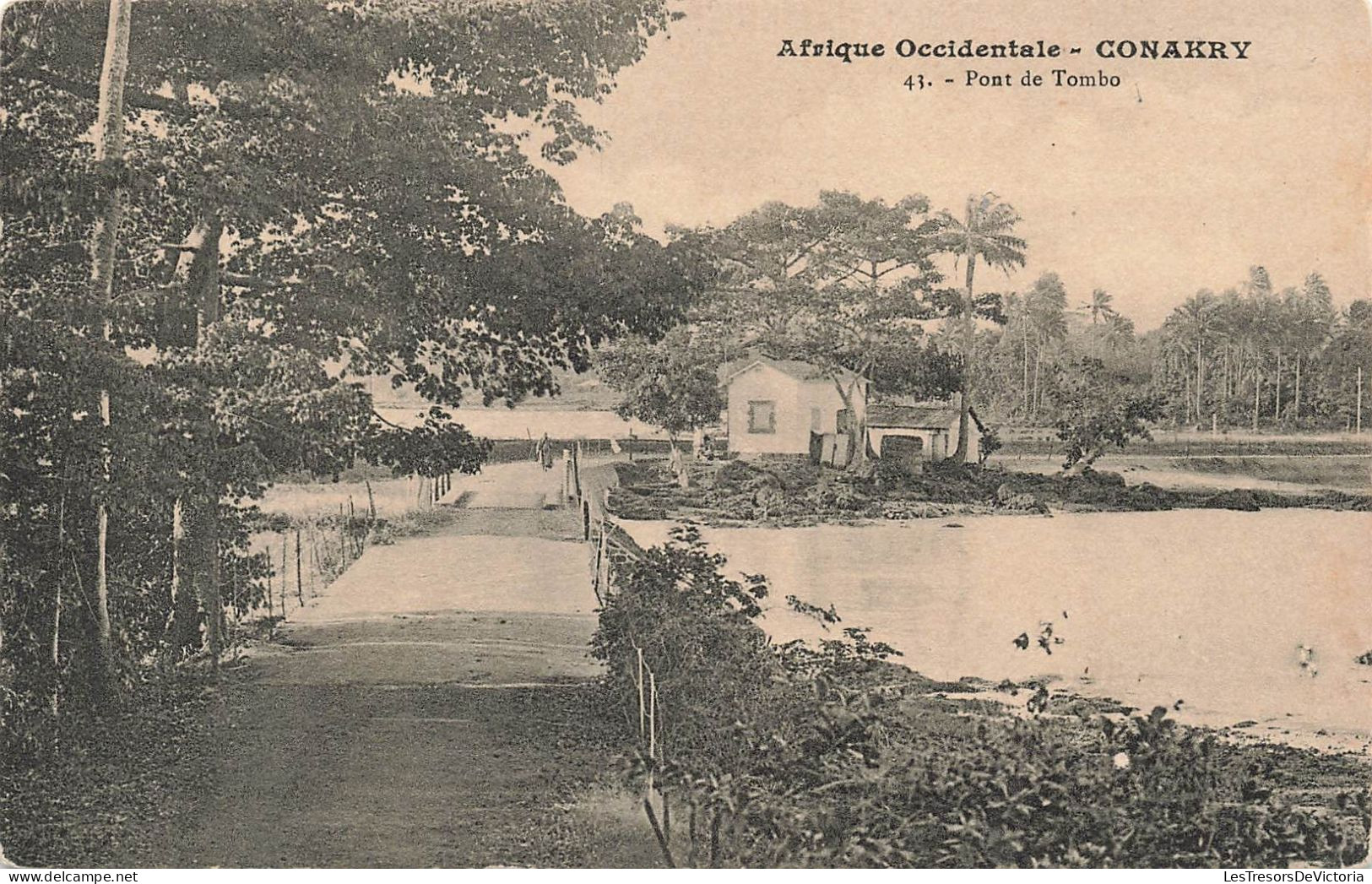 GUINEE - Afrique Occidentale - Conakry - Vue Sur Le Pont De Tombo - Carte Postale Ancienne - Guinée