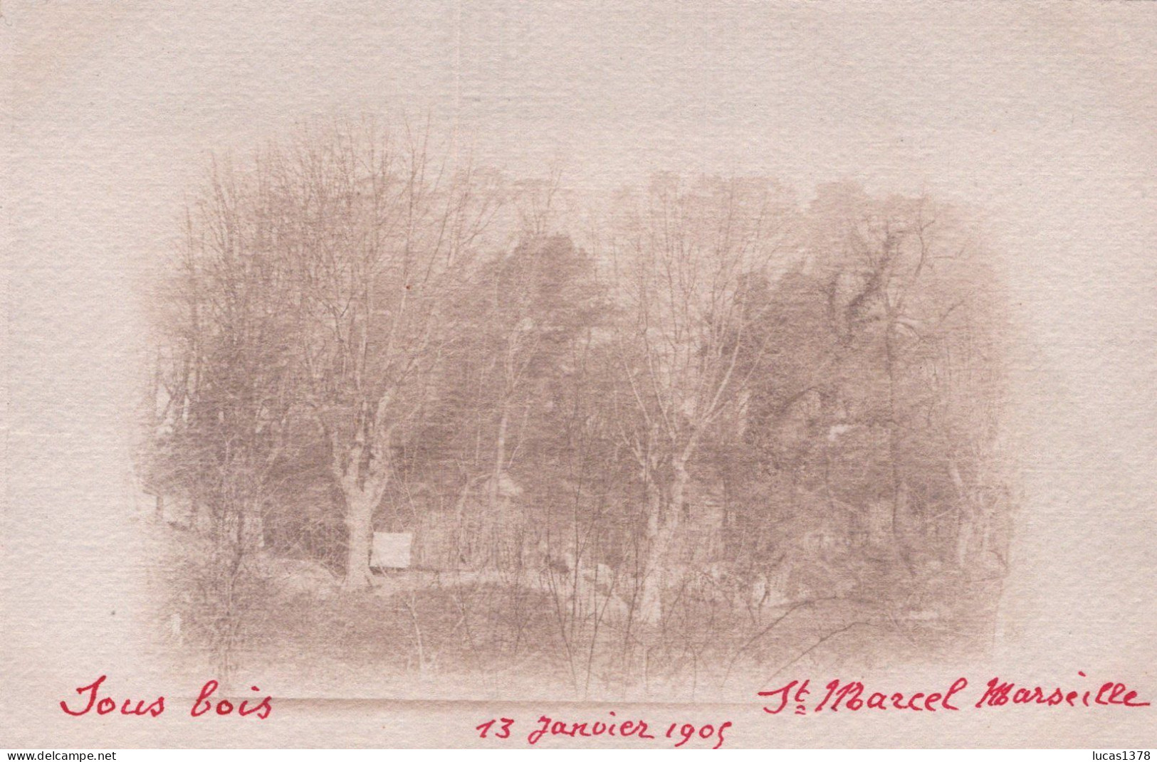 13 / MARSEILLE / SAINT MARCEL / CARTE PHOTO / SOUS BOIS 1905 - Saint Marcel, La Barasse, Saintt Menet