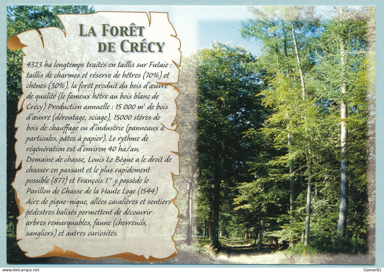 CRECY-EN-PONTHIEU - La Forêt De CRECY - Texte De Présentation - Crecy En Ponthieu