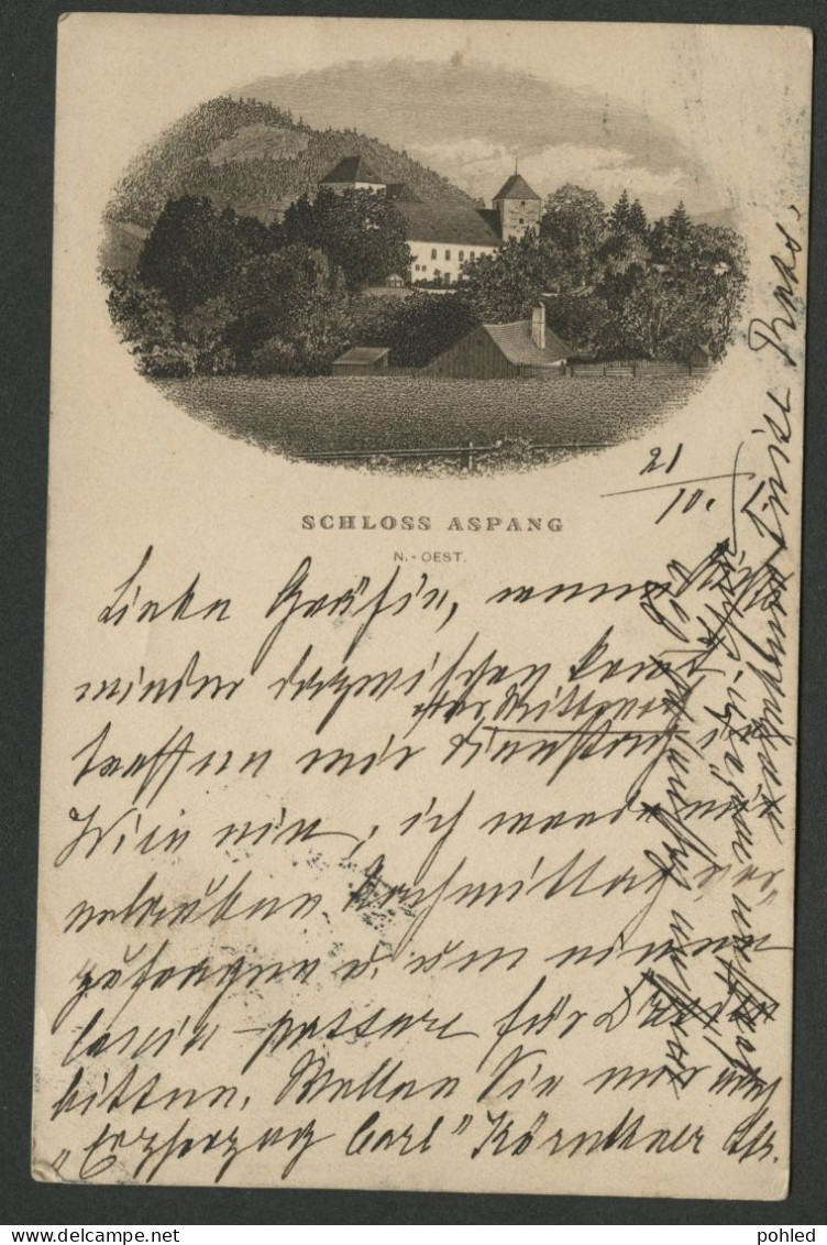 01022*AUSTRIA*ÖSTERREICH*SCHLOSS ASPANG*1901 - Neunkirchen