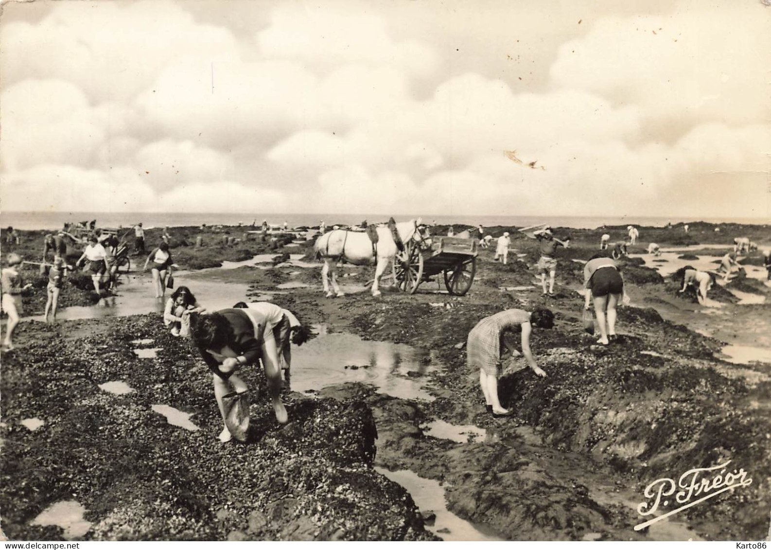 La Plaine Sur Mer * Port Giraud * Le Cormier * La Pêche Aux Coquillages Sur Les Grands Rochers - La-Plaine-sur-Mer