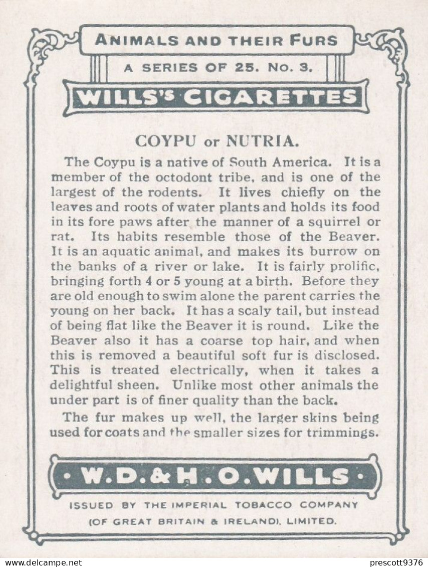 3 Coypu - Animals & Their Furs 1929 -  Wills Cigarettes - Original - L Size - - Wills