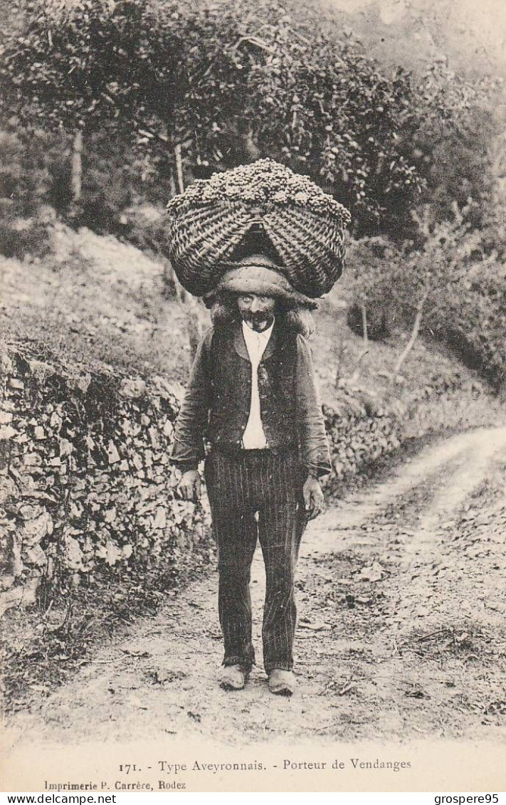 TYPE AVEYRONNAIS  PORTEUR DE VENDANGES - Vignes