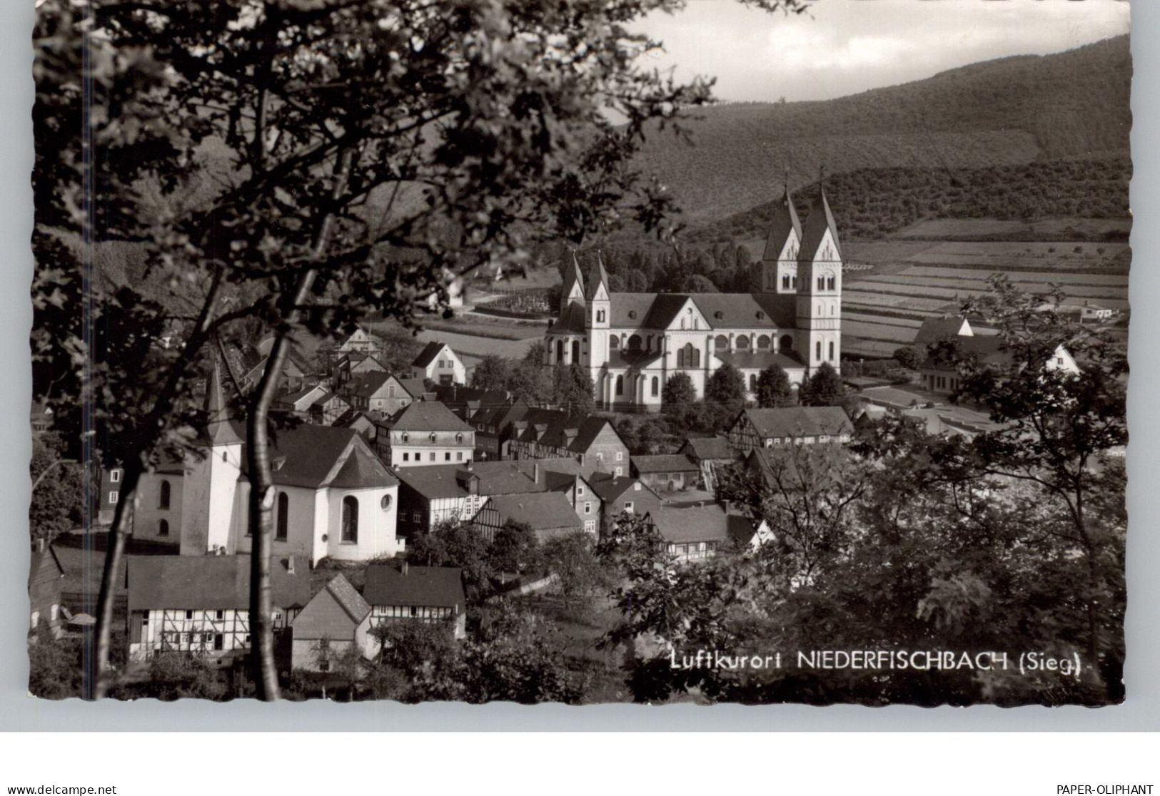5242 KIRCHEN - NIEDERFISCHBACH, Blick über Den Ort, 1963 - Kirchen
