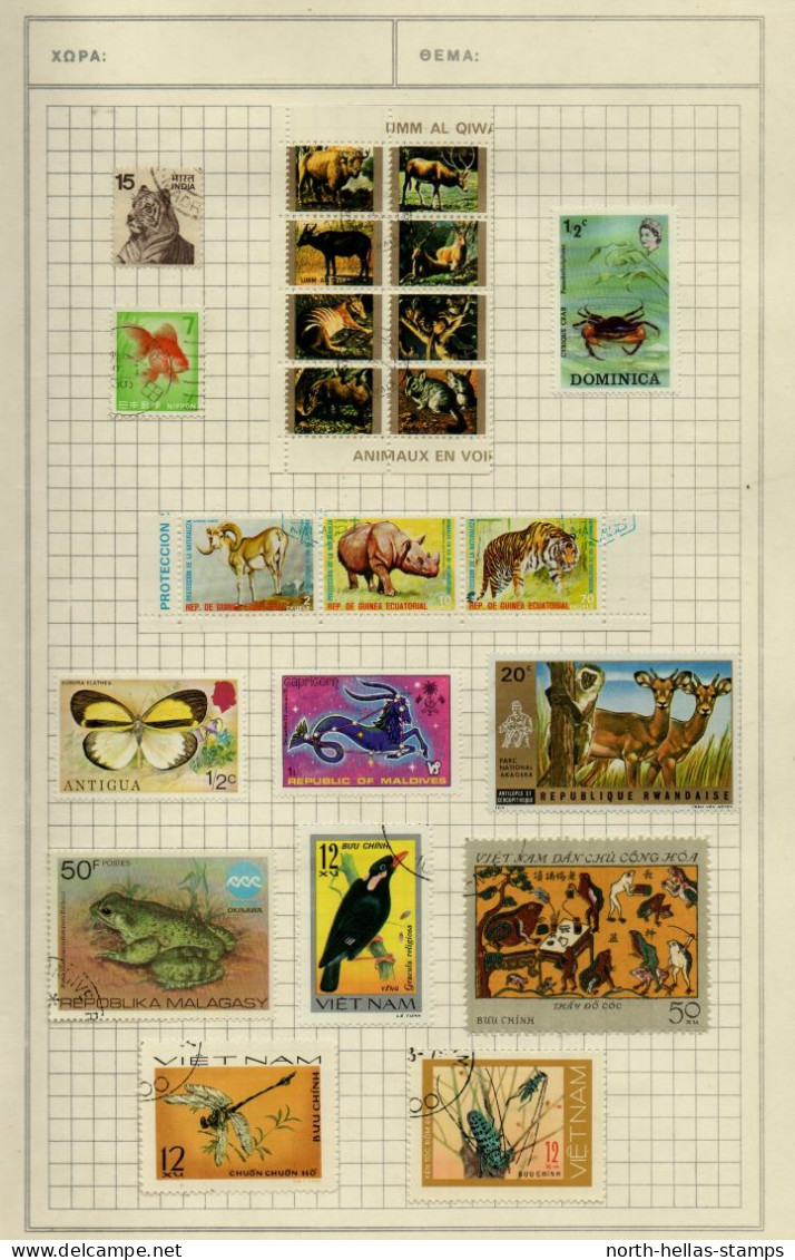 Z052 Animals / birds / fishes thematic collection on 12 pages