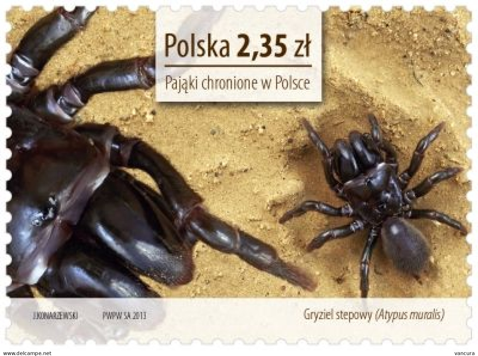 ** 4504-7 Poland Protected Spiders 2013 - Ragni