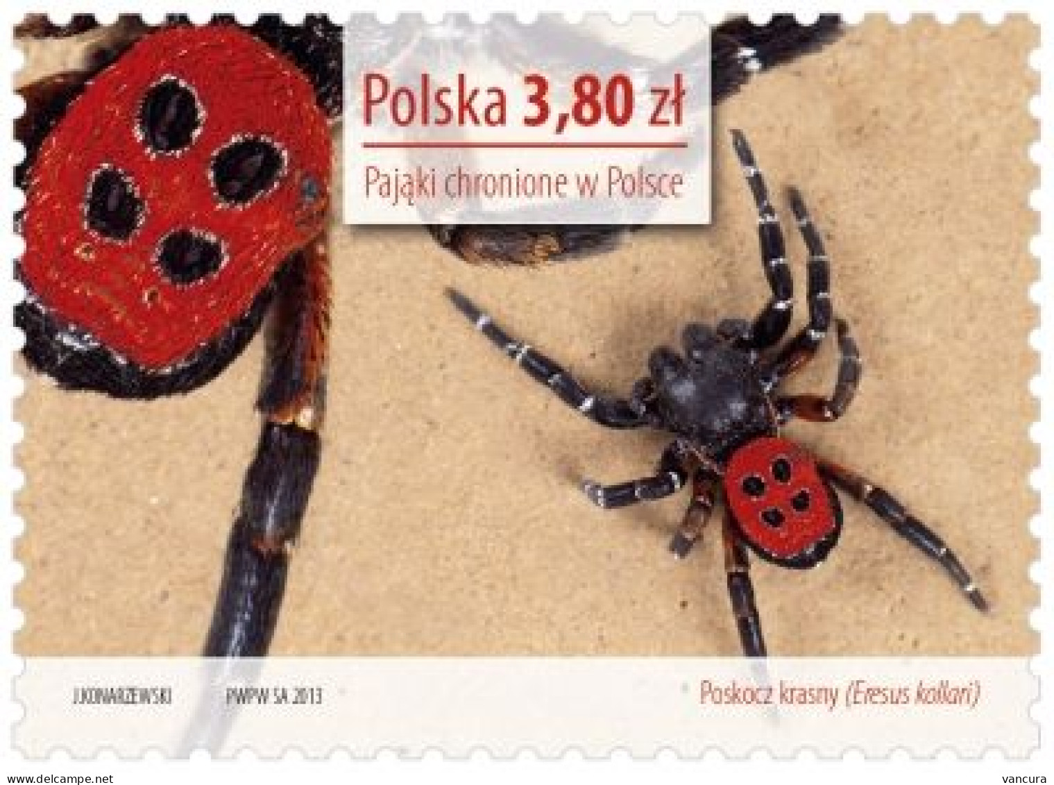 ** 4504-7 Poland Protected Spiders 2013 - Araignées