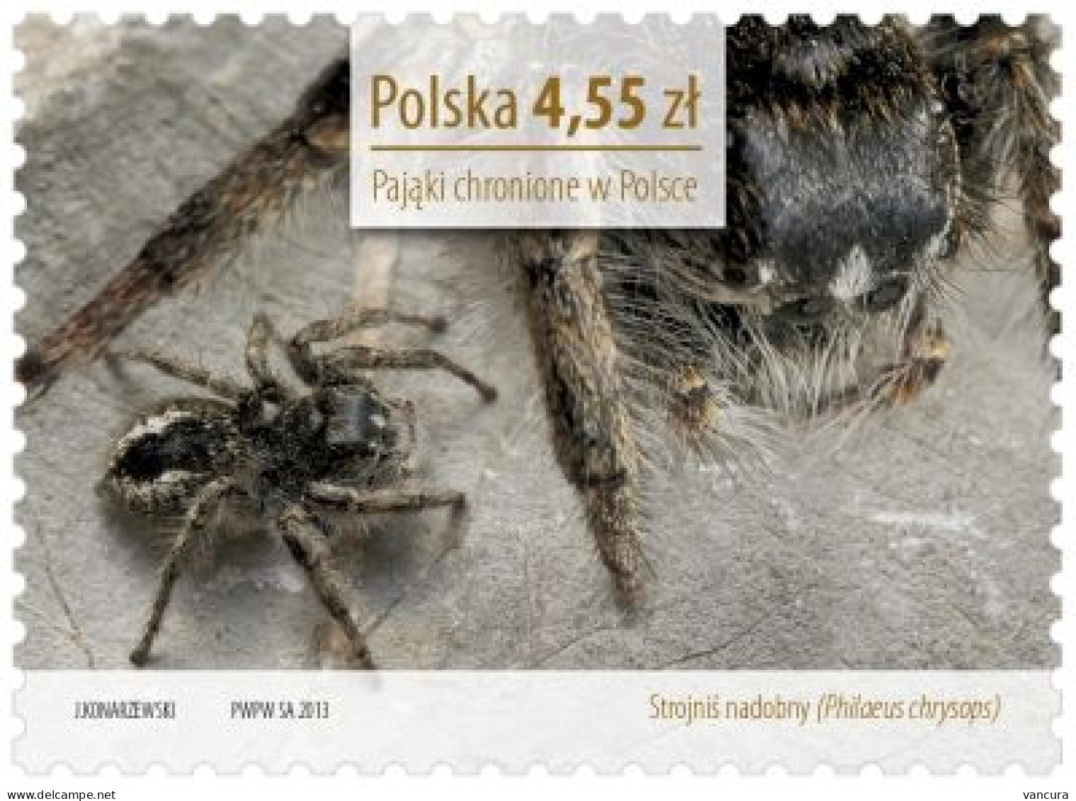 ** 4504-7 Poland Protected Spiders 2013 - Spinnen
