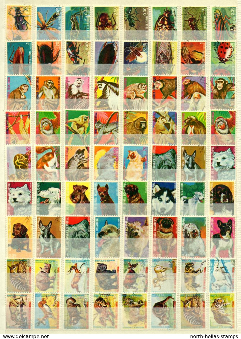 Z060 Guinea Equatorial Insects, Animals Thematic Stamps - Collections (sans Albums)