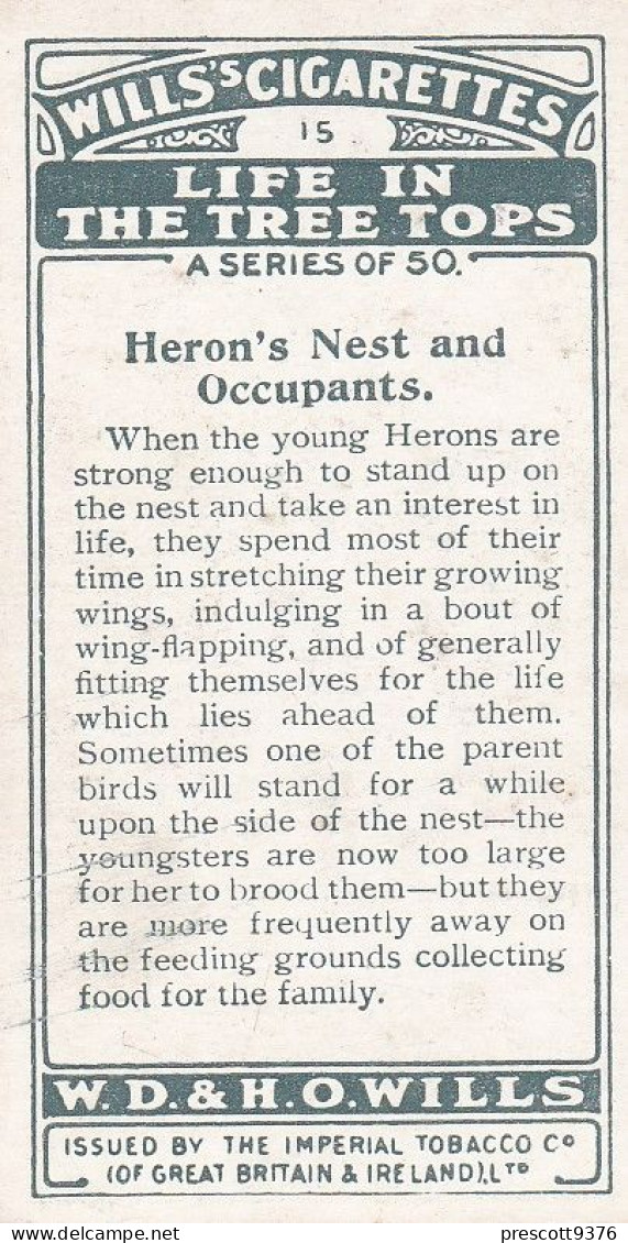 15 Herons Nest & Chicks - Life In The Tree Tops 1925 - Wills Cigarette Card - Wills