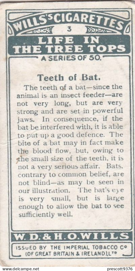 3 Teeth Of A Bat - Life In The Tree Tops 1925 - Wills Cigarette Card - Wills