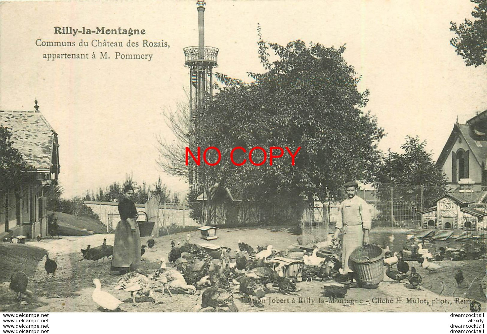 51 RILLY-LA-MONTAGNE. La Ferme Communs Château Des Rozais à Pommery 1905 - Rilly-la-Montagne