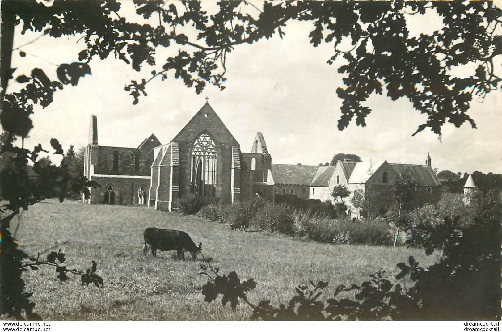 (GA.S) Photo Cpsm Petit Format 22 PLENEE-JUGON. Abbaye De Boquen 1963 - Plénée-Jugon