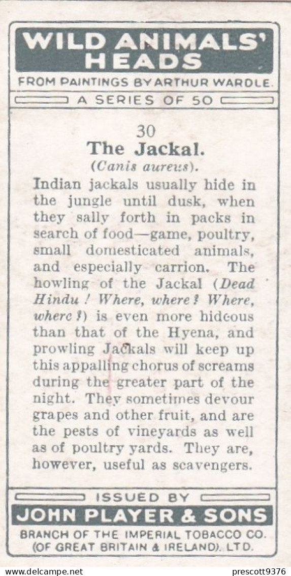 Wild Animals Heads 1931. - 30 Jackal,  - Players Cigarette Card - Player's