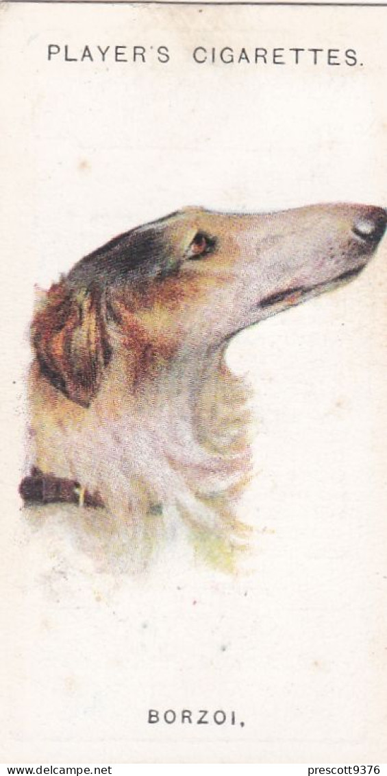 Dogs Heads By Arthur Wardle 1929. - 5 Borzoi  - Players Cigarette Card - Player's