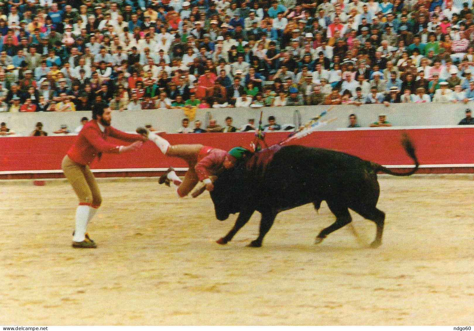 Santarem - Corrida De Touros - Pega - Santarem