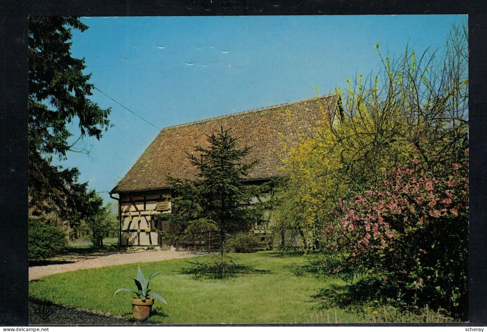 CARTE POSTALE GOETHE SCHEUNE SESSENHEIM  RESTAUREE EN 1958 - Verzamelingen & Kavels