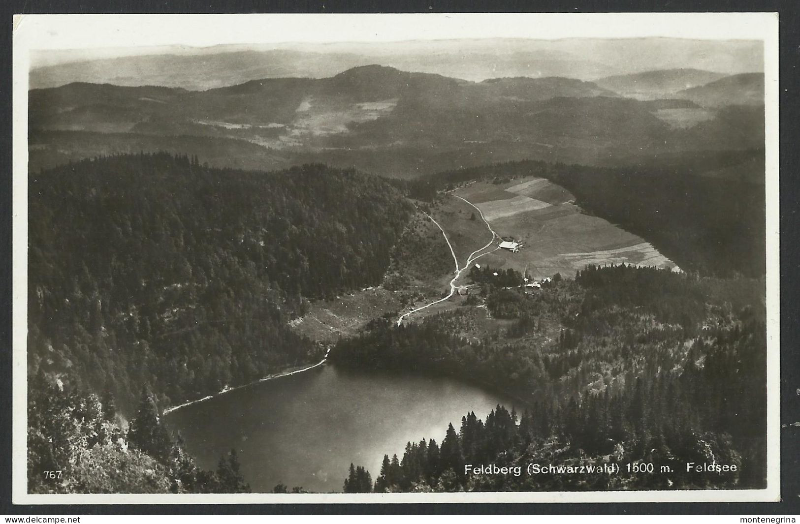 FELDBERG (Schwarzwald) 1500 M. Feldsee - Old Postcard  (see Sales Conditions) 09407 - Feldberg
