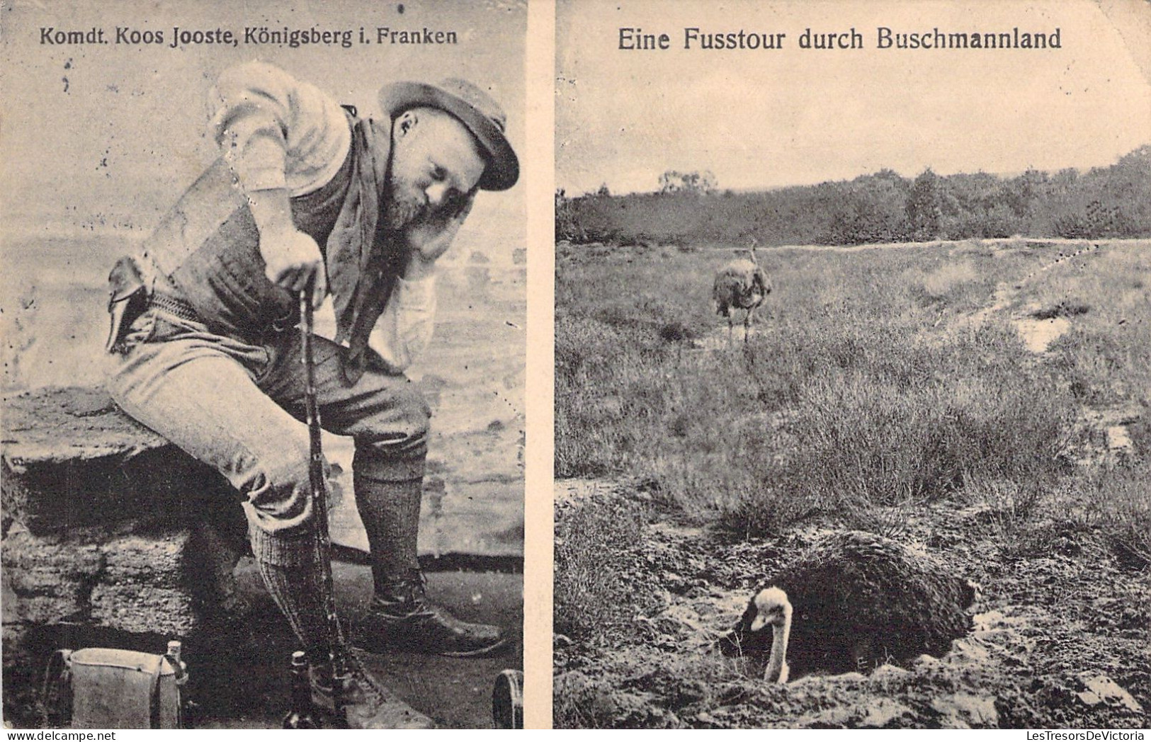 AFRIQUE DU SUD - Eine Fußtour Durch Buschmannland - Autruche - Carte Postale Ancienne - Zuid-Afrika