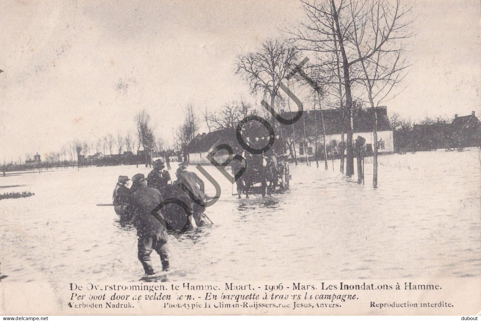 10 Postkaarten /Cartes Postales - Hamme Overstromingen  (C5269) - Hamme