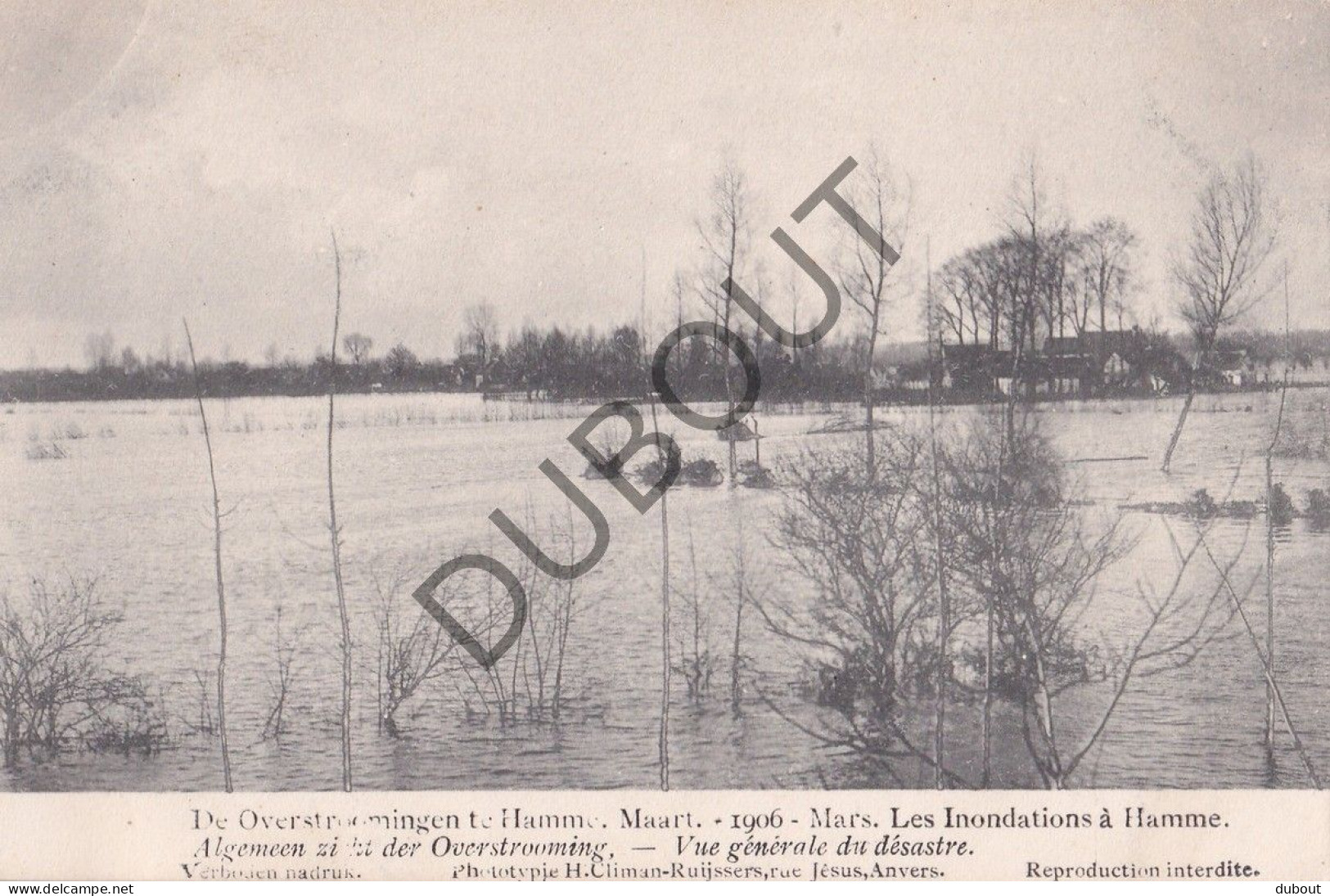 10 Postkaarten /Cartes Postales - Hamme Overstromingen  (C5269)