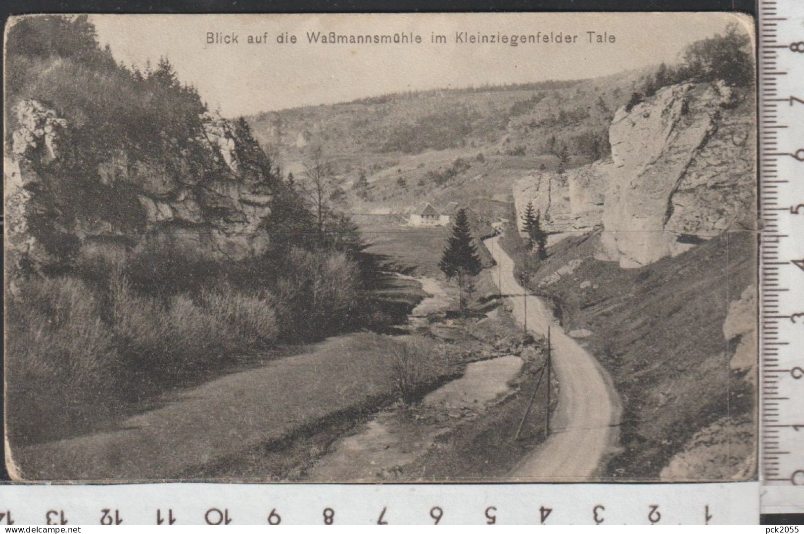 LICHTENFELS - Blick Auf Die Waßmannsmühle Im Kleinziegenfelder Tale,  Gelaufen 1912 ( AK 4255 )  Günstige Versandkosten - Lichtenfels