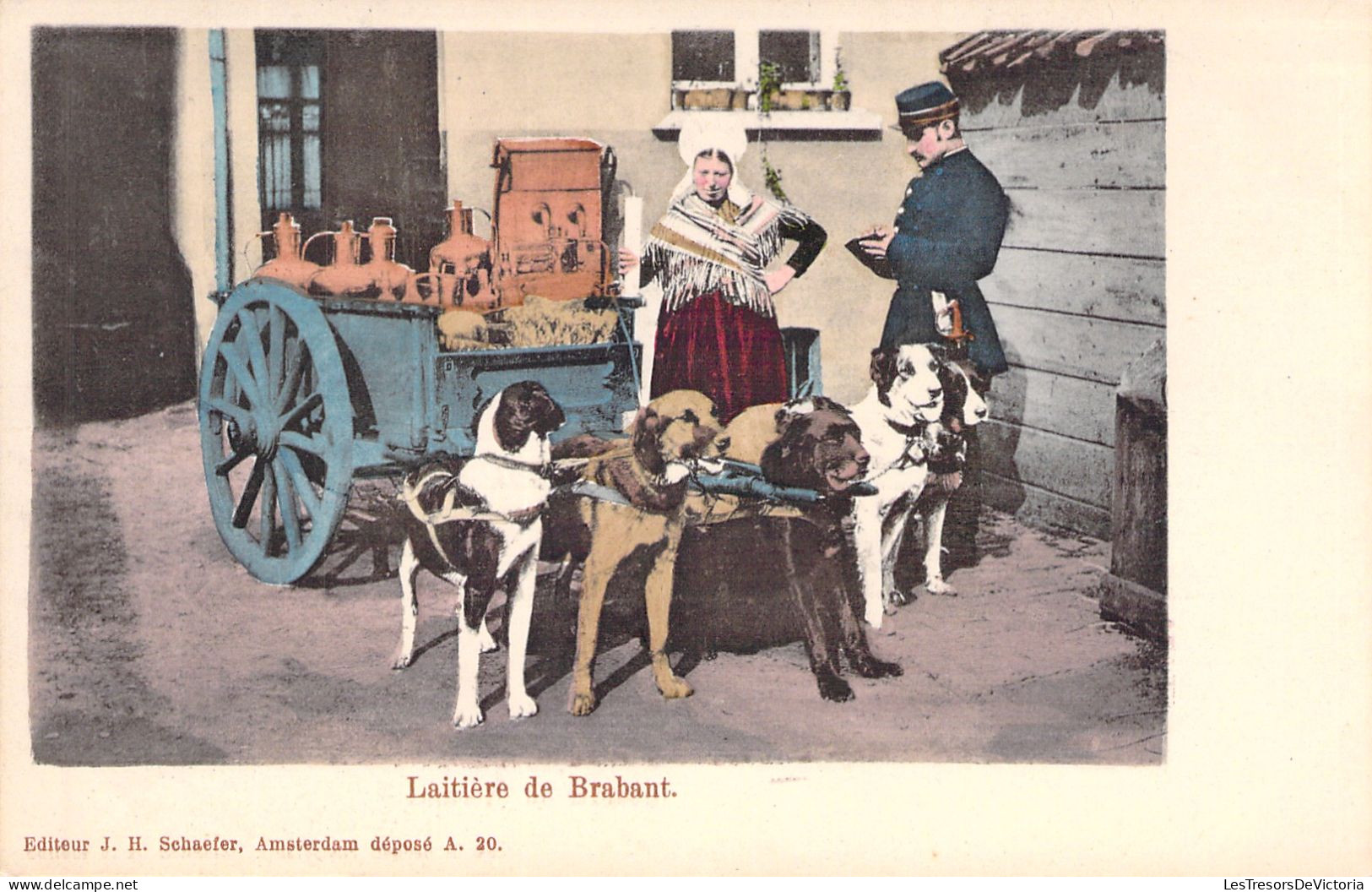 BELGIQUE - Laitiere De Brabant - Attelage De Chiens - Carte Postale Ancienne - Sonstige & Ohne Zuordnung