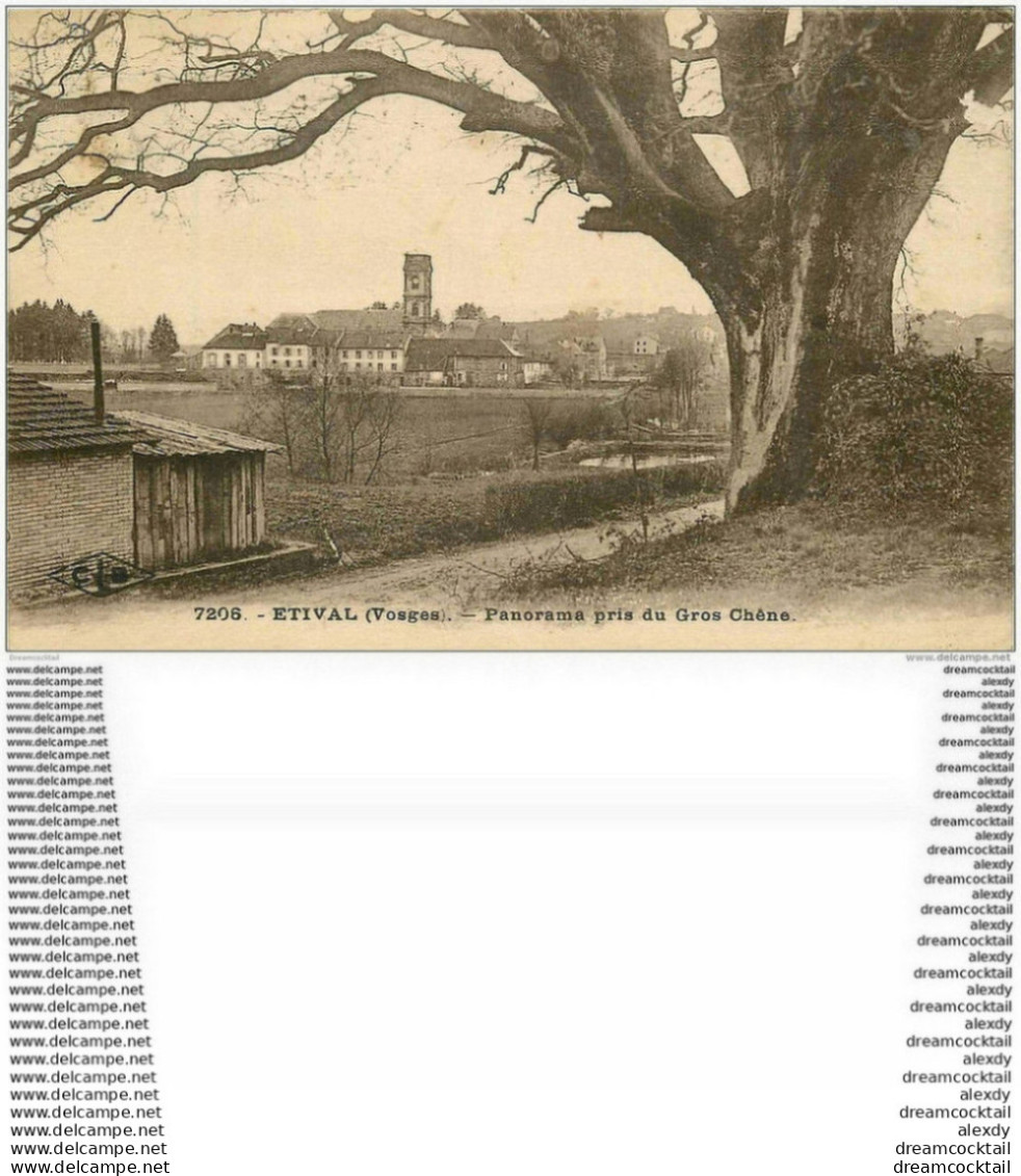 88 ETIVAL. Le Village Vu Du Gros Chêne 1925 - Etival Clairefontaine