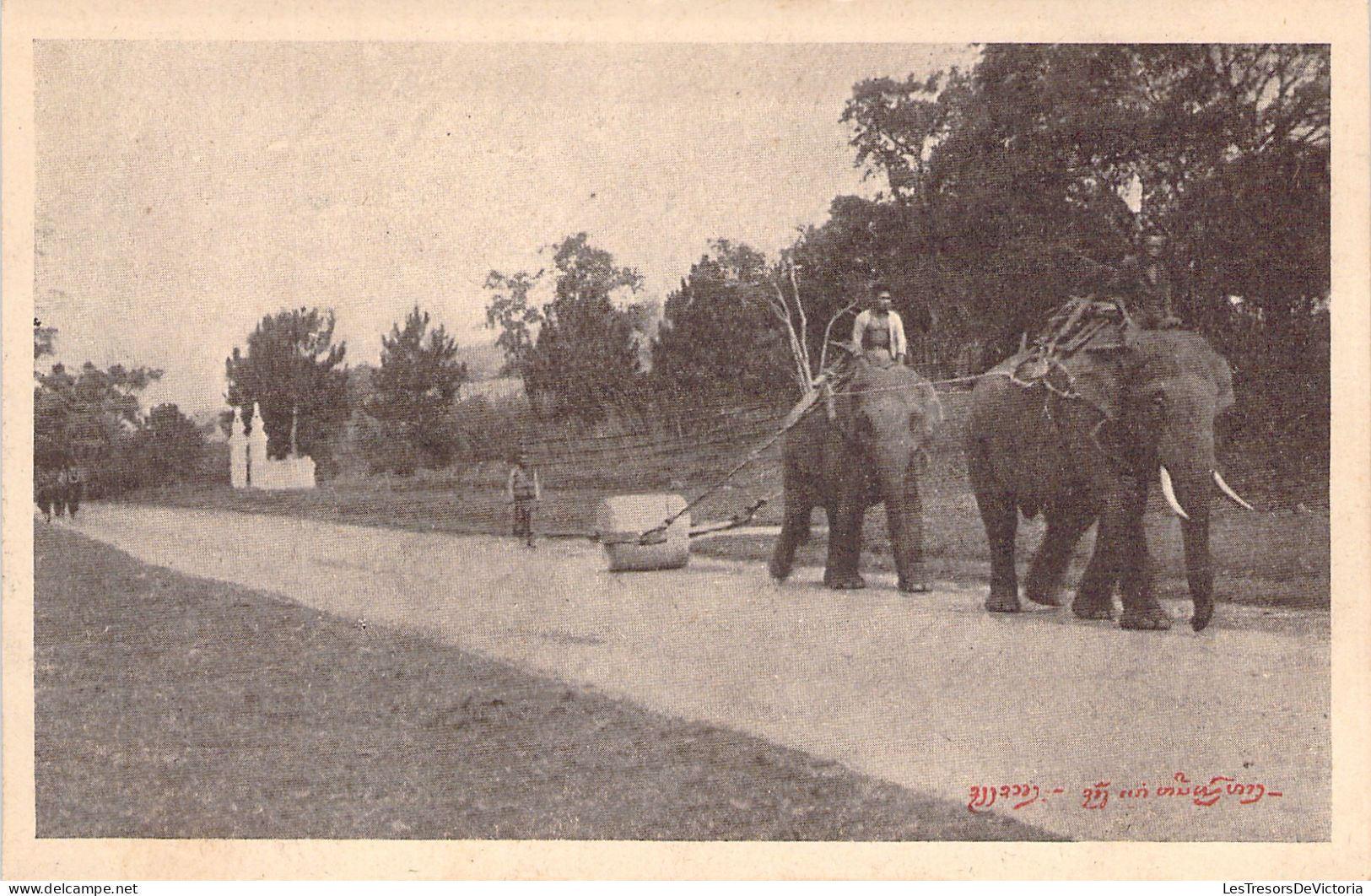 LAOS - Xieng Khouang - Elephants Employés Au Cylindrage - Carte Postale Ancienne - Laos