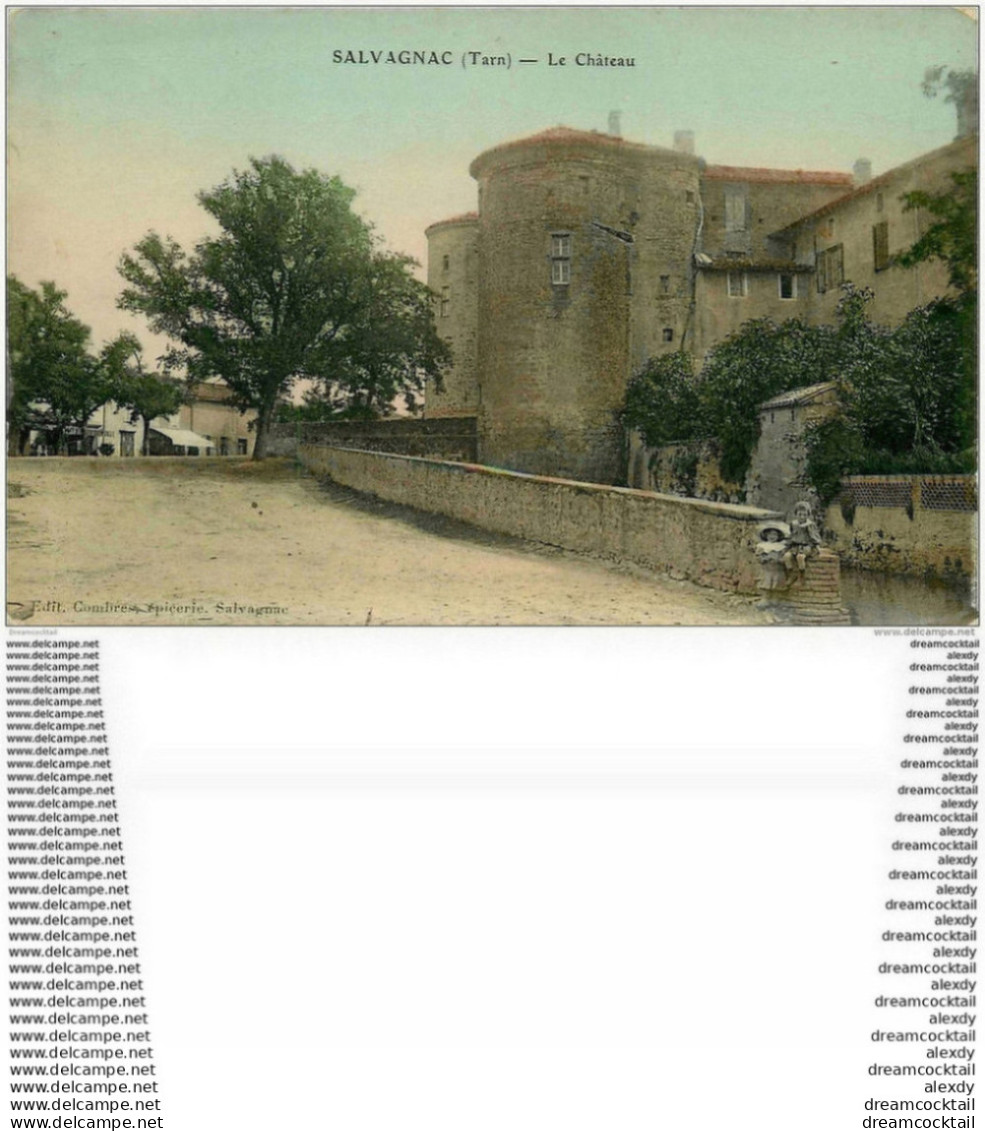 81 SALVAGNAC. Le Château Avec Enfants Assis 1912. Carte émaillographie - Salvagnac