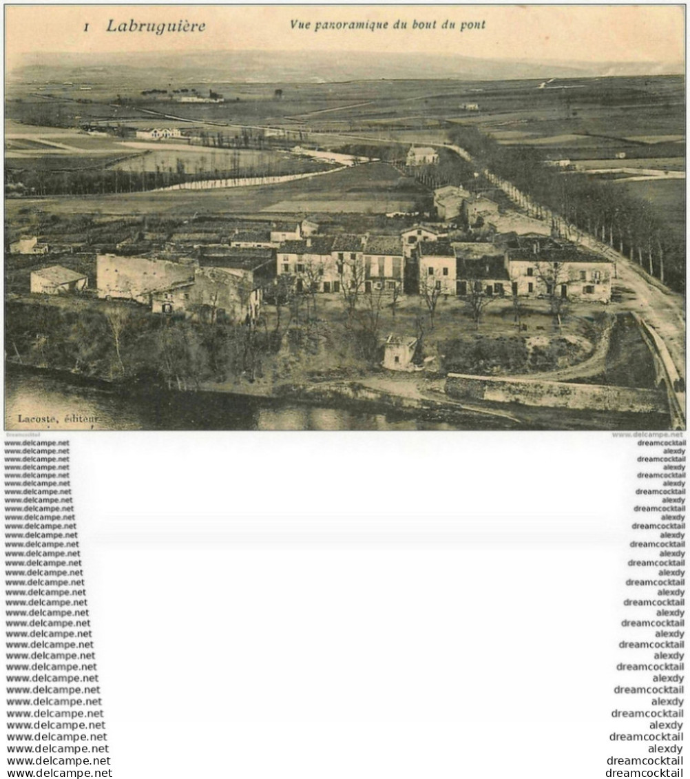 81 LABRUGUIERE. Panorama Du Bout Du Pont 1907 - Labruguière