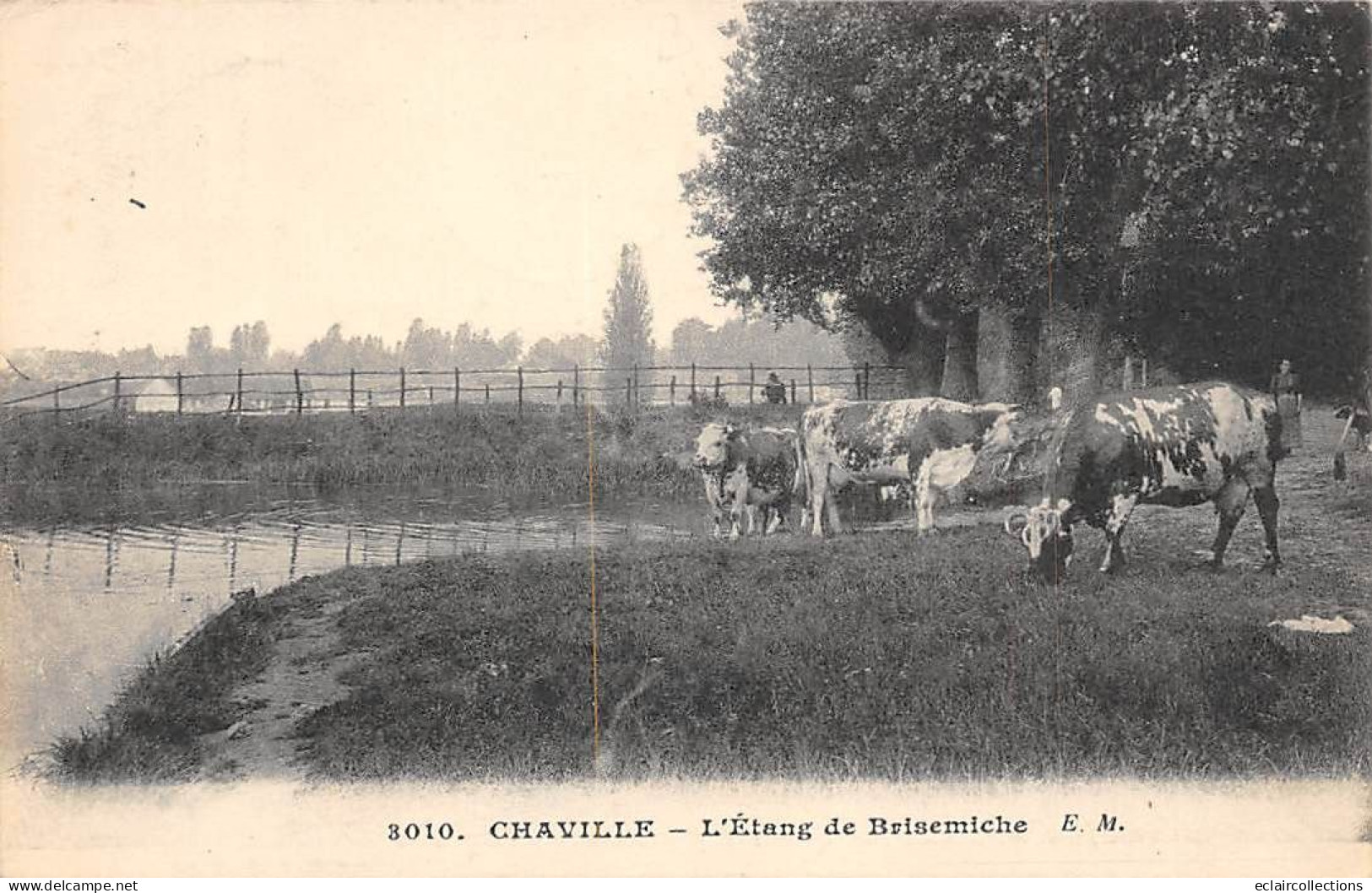Chaville         92         Etang De Brisemiche.  Vaches   N° 3010        (Voir Scan) - Chaville