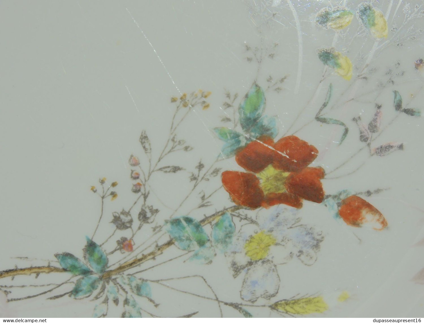 -6 ASSIETTES PLATES CERAMIQUE LONGWY décor de Fleurs Papillons insectes    E