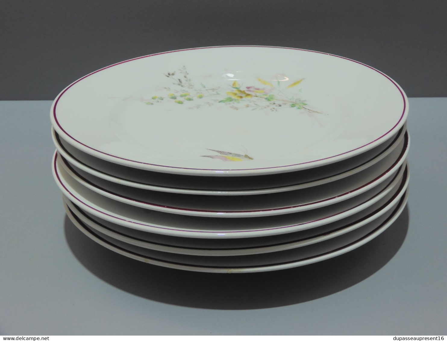 -6 ASSIETTES PLATES CERAMIQUE LONGWY décor de Fleurs Papillons insectes    E