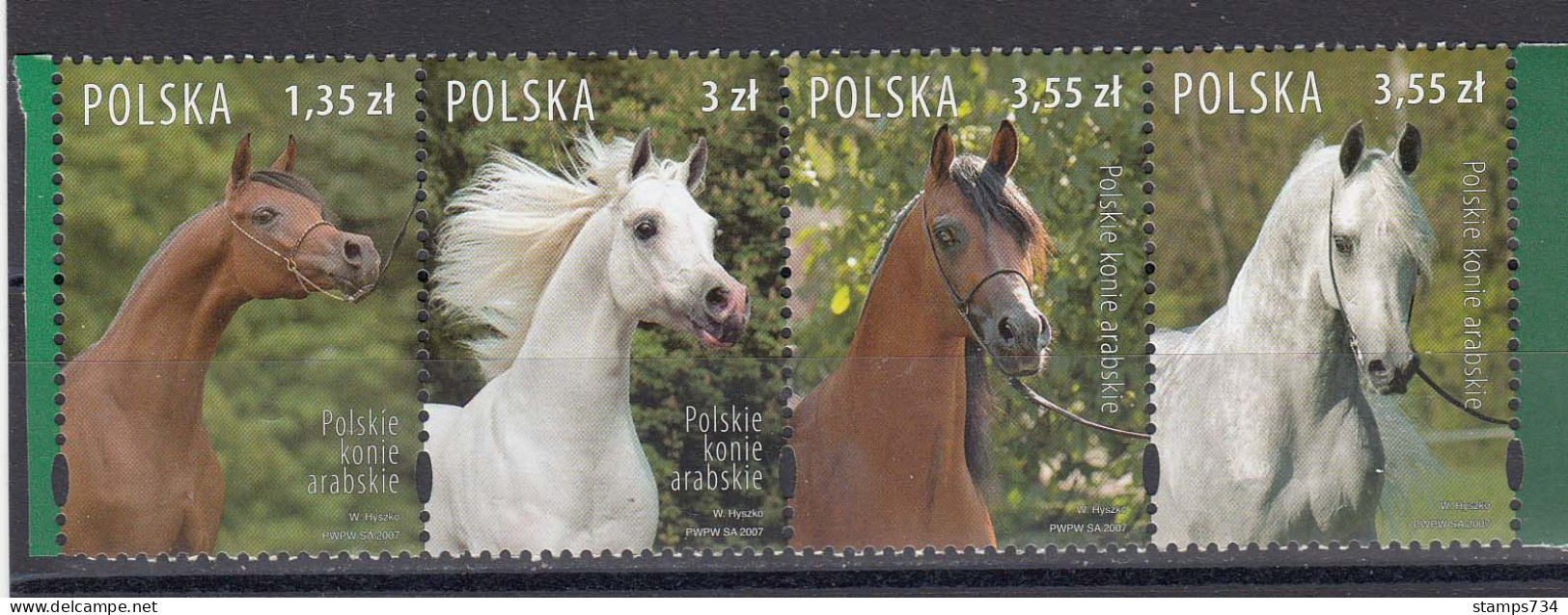 Poland 2007 - Horses, Mi-Nr. 4323/26, MNH** - Neufs